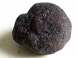 قارچ دنبلان سیاه