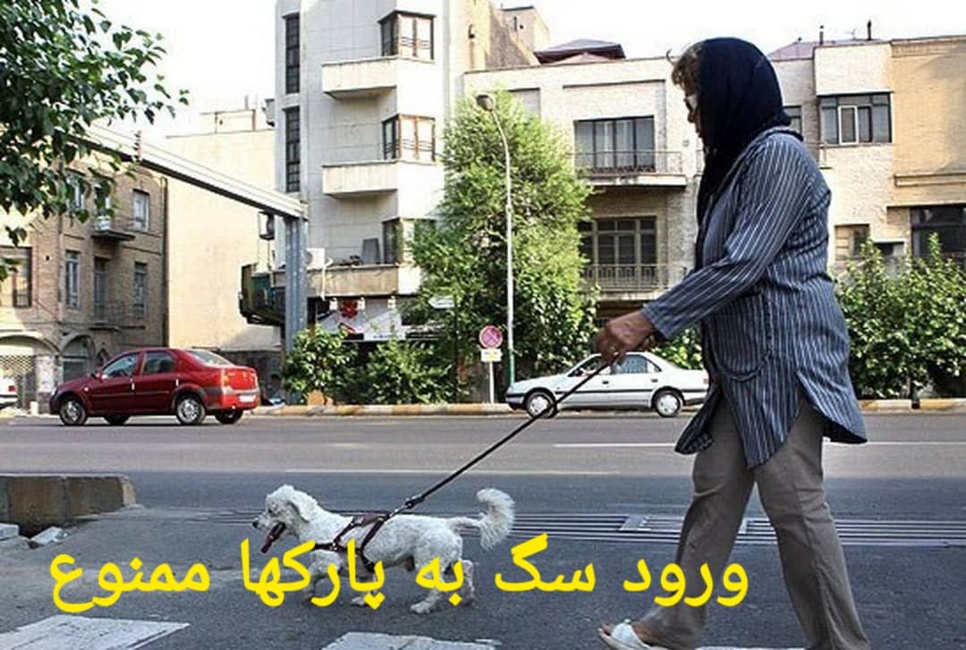 (حیوانات) توجه به قانون ممانعت از ورود سگ به پارکها