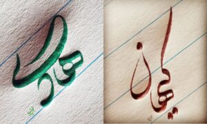 تغییر نام هادی و کیهان