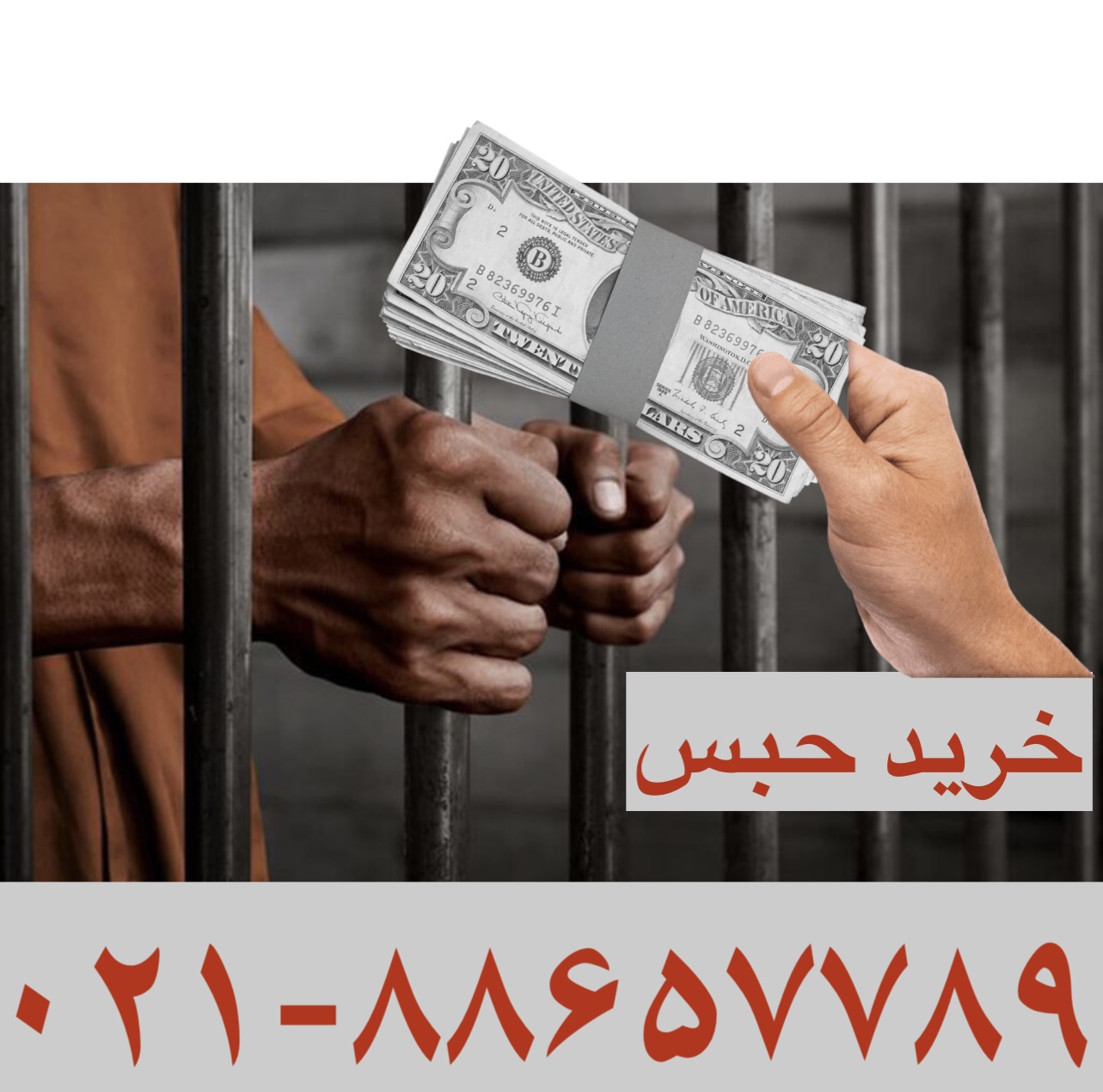 خرید حبس
