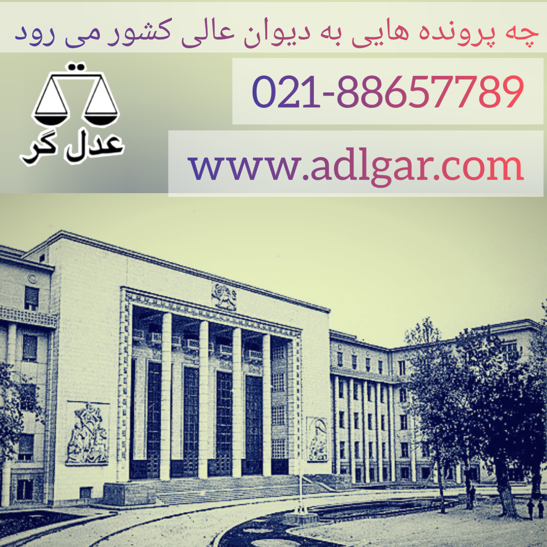 چه پرونده هایی به دیوان عالی کشور می رود