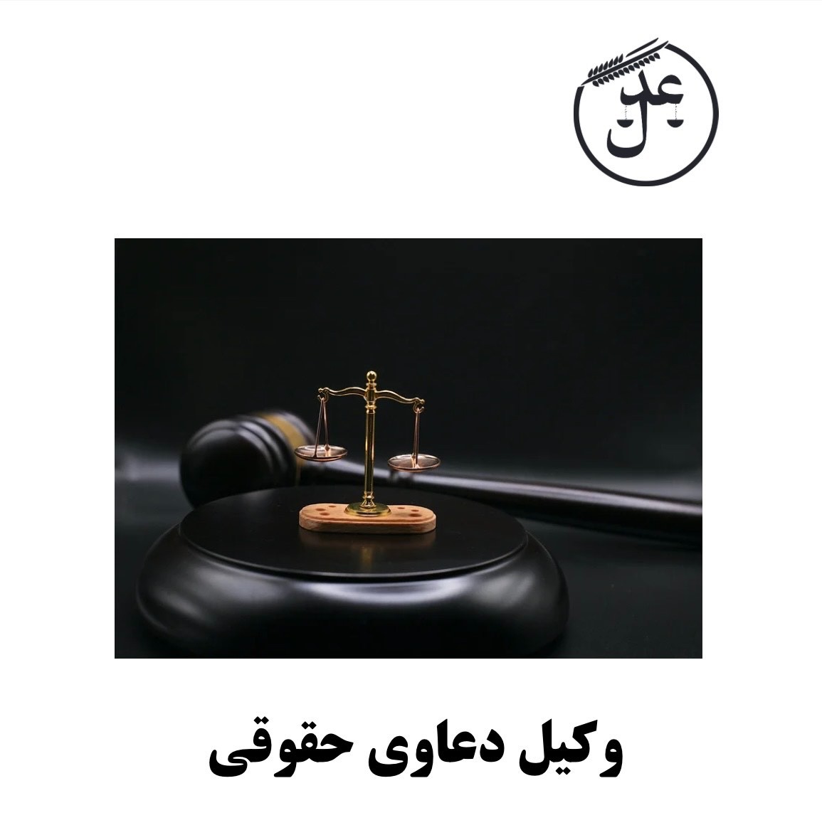 وکیل دعاوی حقوقی